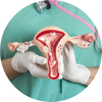 Hysteroscopy 